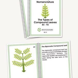 Botany Elementary Nomenclature Booklets