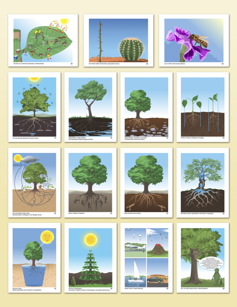 Botany Impressionistic Charts Small