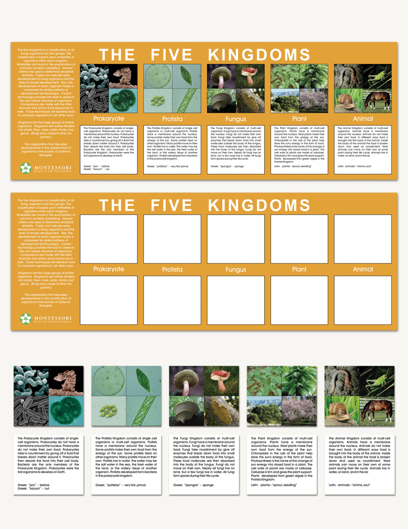 The Five Kingdoms Charts - sku BE.01 - 1