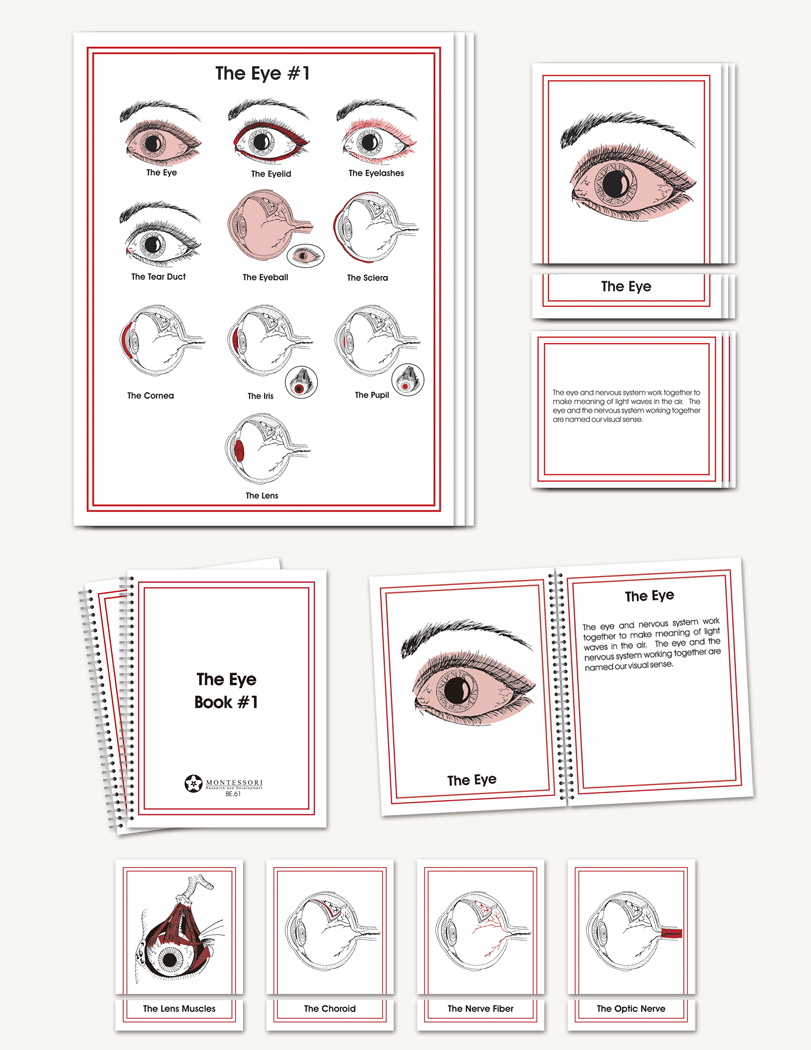 Eye Parts
