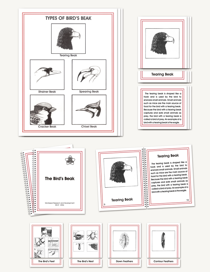 Parts of the Birds - sku BE.81 - 1