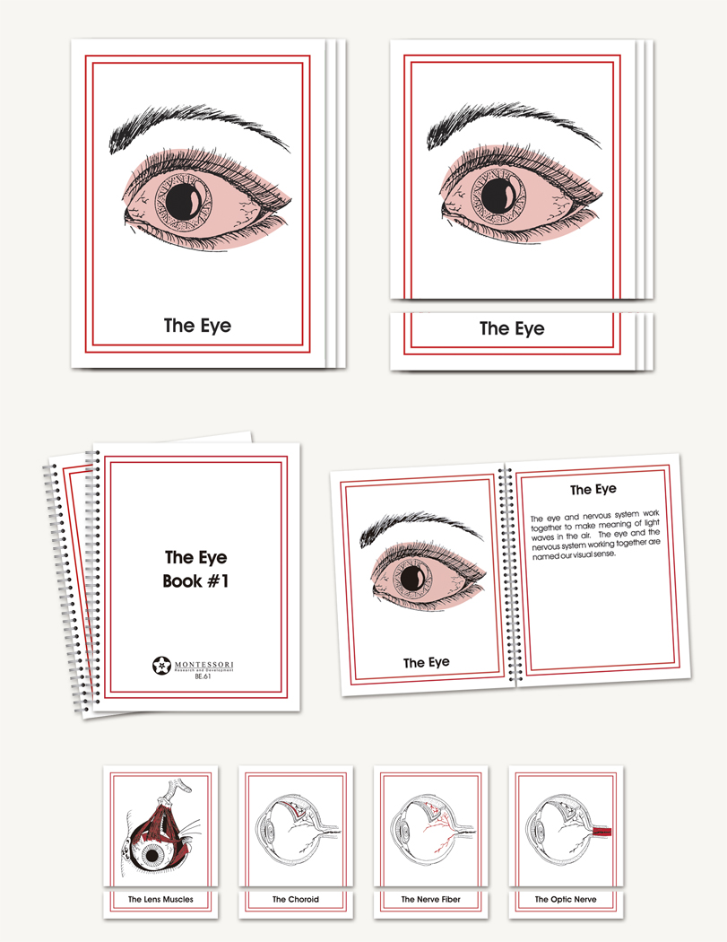Eye Parts