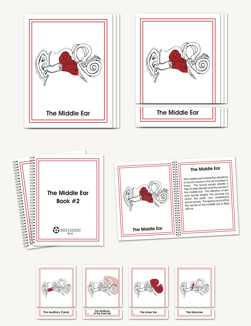 Ear Parts